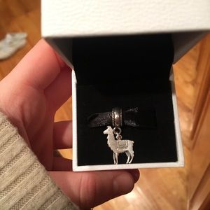 Pandora charm